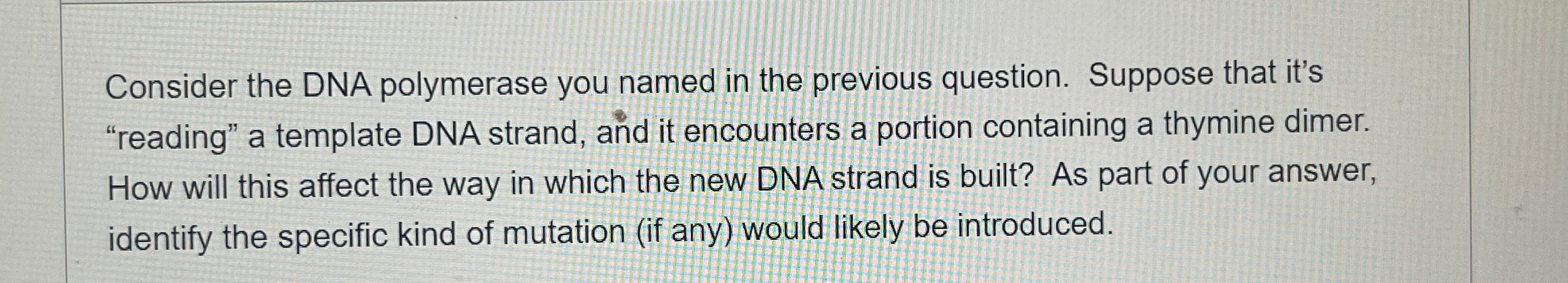 Solved Consider the DNA polymerase IV ﻿Suppose that it s Chegg com