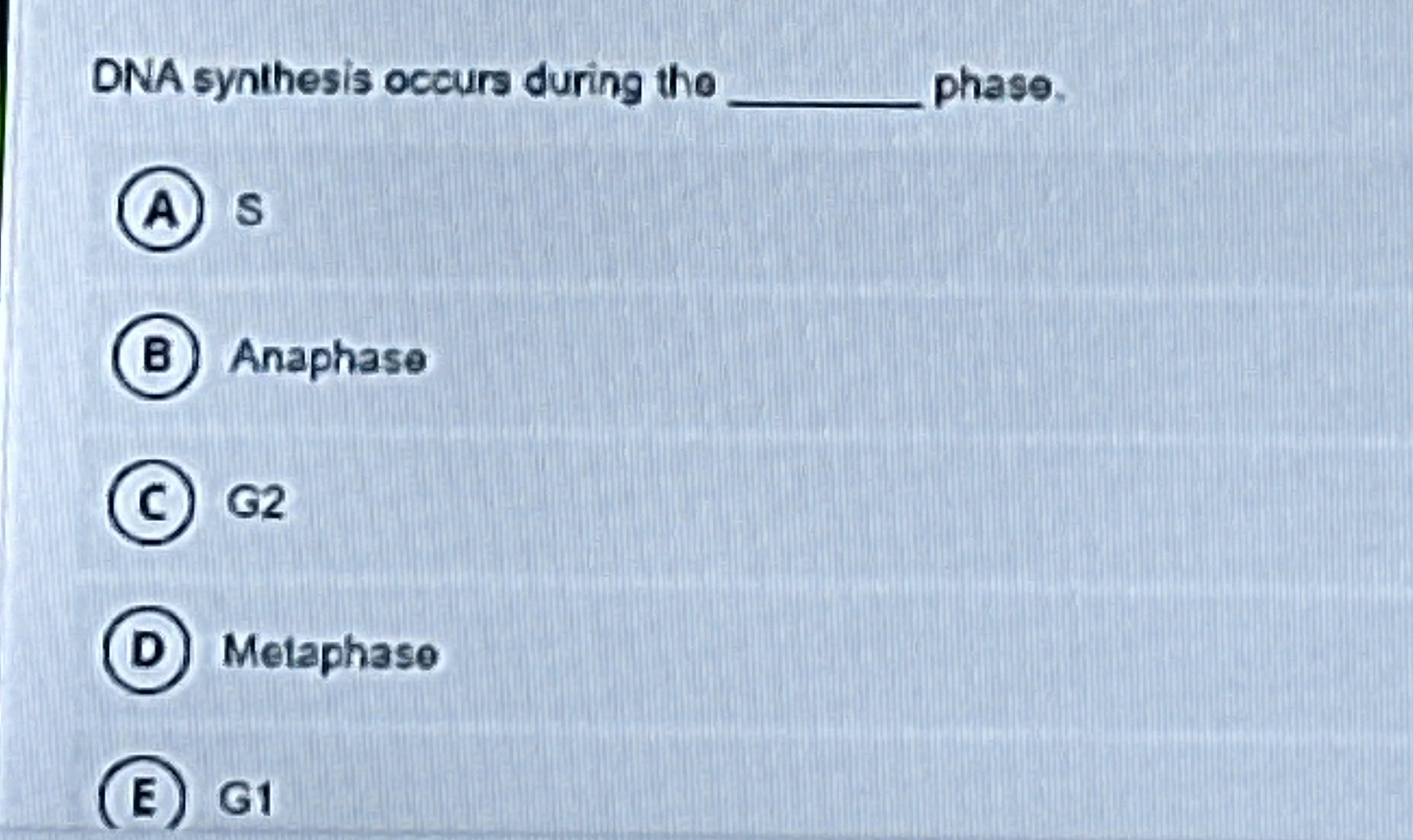 Solved ONA synthesis occurs during the | Chegg.com