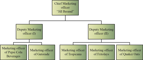 organizational chart of pepsi company - Conomo.helpapp.co