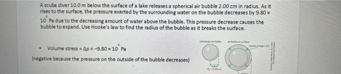 Solved A Scuba Diver 10.0 M Below The Surface Of A Lake | Chegg.com