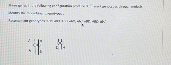 Solved Three Genes In The Following Configuration Produce 8 | Chegg.com