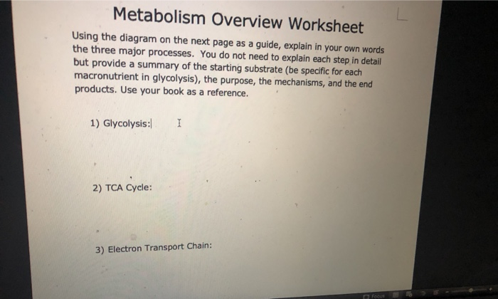 Solved Metabolism Overview Worksheet Using the diagram on | Chegg.com