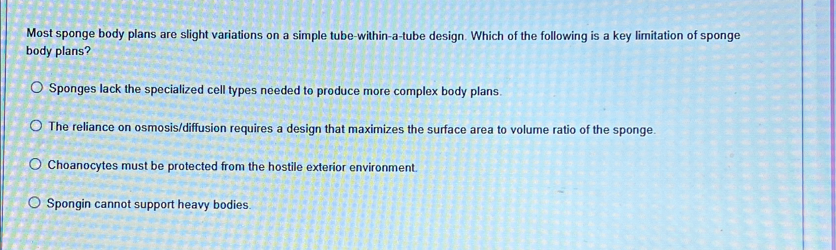 Solved Most sponge body plans are slight variations on a