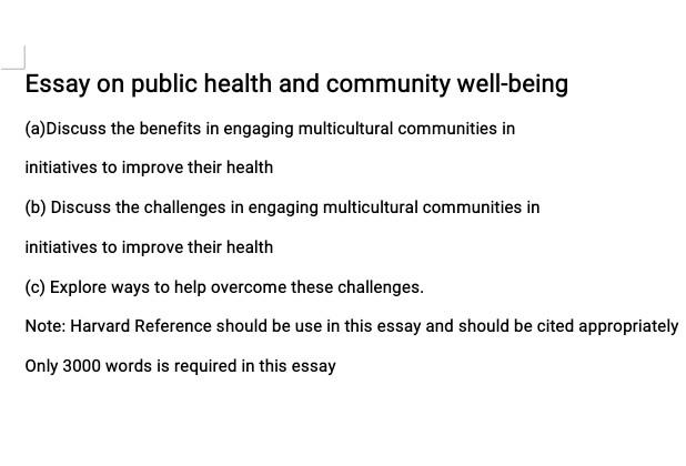 essay on public health is most essential to develop the country