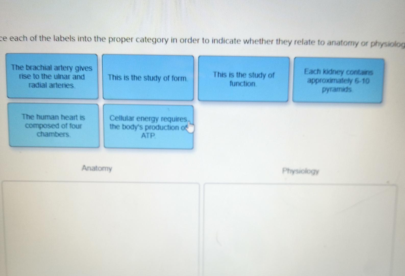 Solved ce each of the labels into the proper category in | Chegg.com