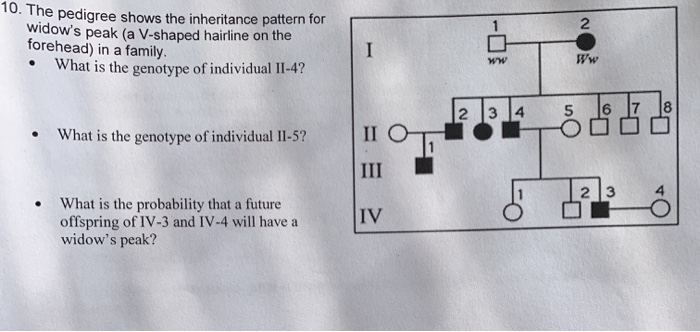 Solved 10 The Pedigree Shows The Inheritance Pattern For