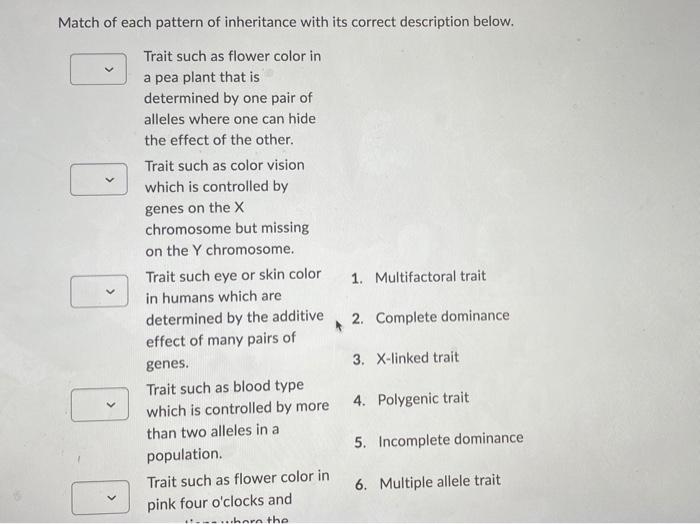 Solved Match of each pattern of inheritance with its correct | Chegg.com