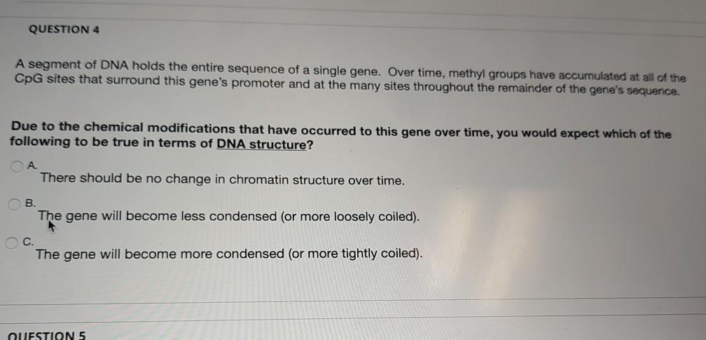 Solved QUESTION 4 A segment of DNA holds the entire sequence | Chegg.com