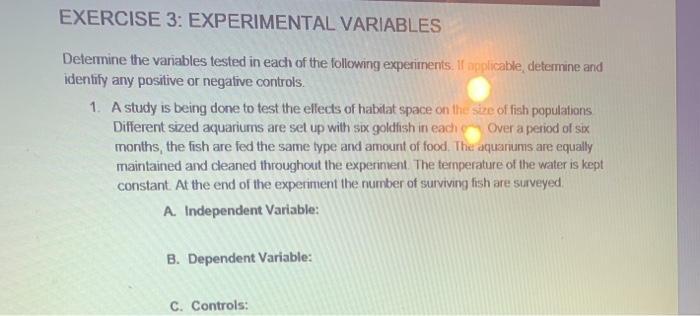 exercise 3 experimental variables