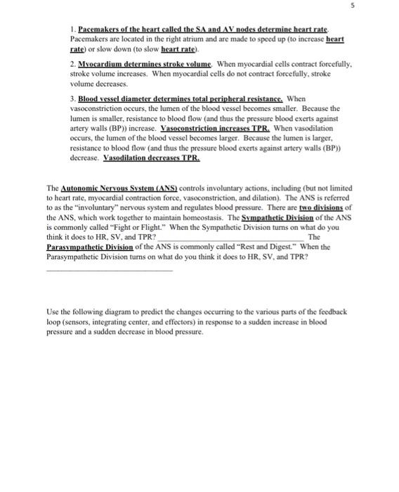 Solved 1. Pacemakers of the heart called the SA and AV nodes | Chegg.com