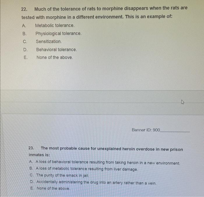Solved 22. Much of the tolerance of rats to morphine | Chegg.com