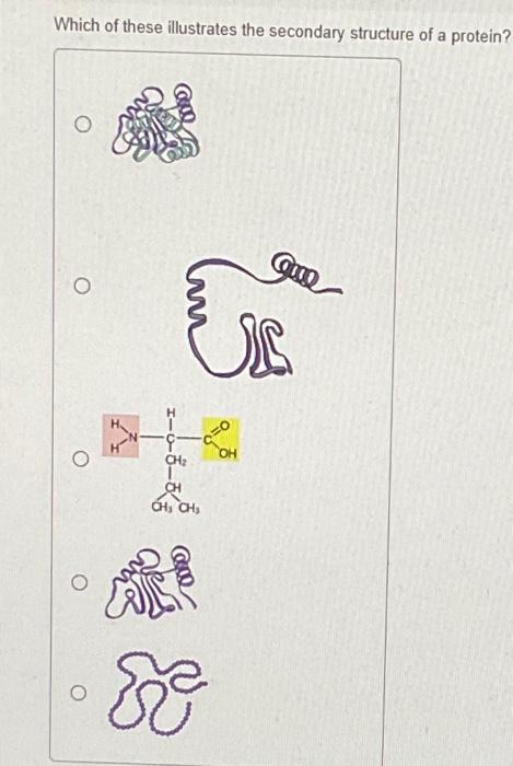 solved-which-f-these-illustrates-the-secondary-structure