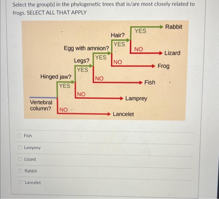 Solved Select All Of The Phylogenetic Trees Which Are | Chegg.com