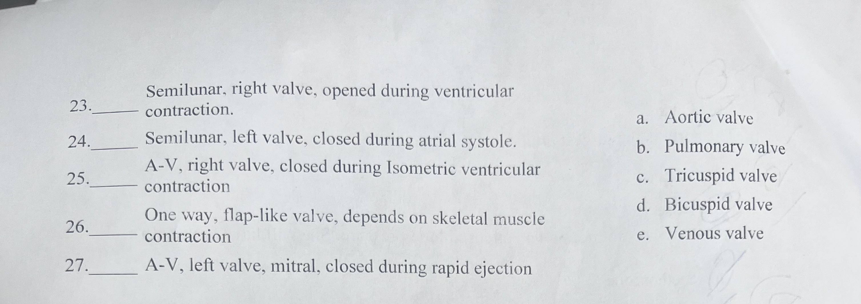 Solved Regarding the valves of the heart and the cardiac | Chegg.com
