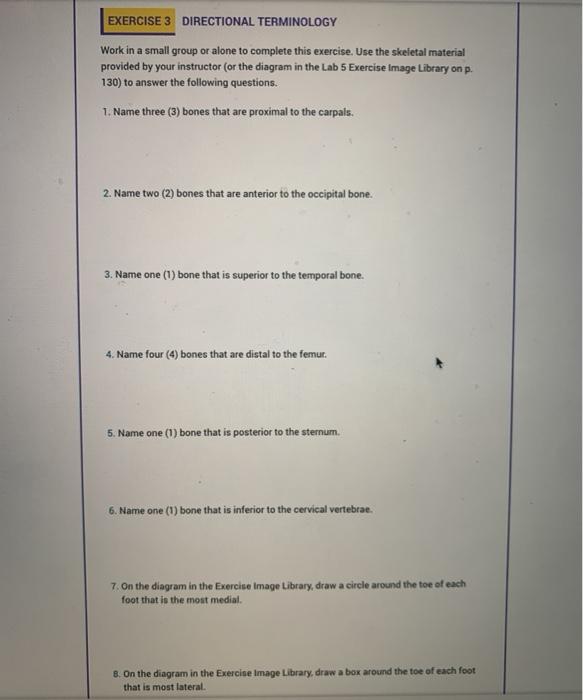 Solved EXERCISE 3 DIRECTIONAL TERMINOLOGY Work in a small
