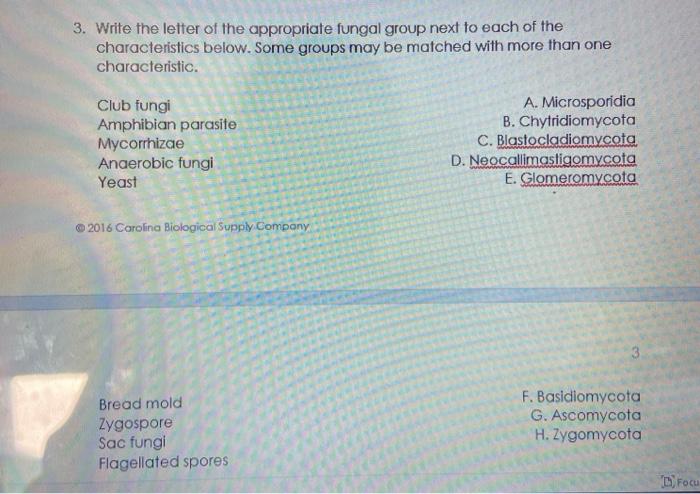 3 Write The Letter Of The Appropriate Fungal Group Chegg Com