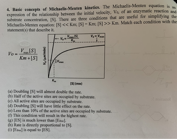 4 Basic Concepts Of Michaelis Menten Kinetics The Chegg Com