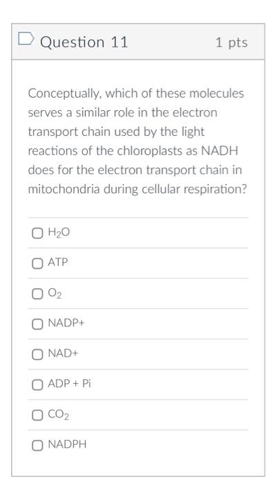 Solved Question 11 1 pts Conceptually, which of these | Chegg.com