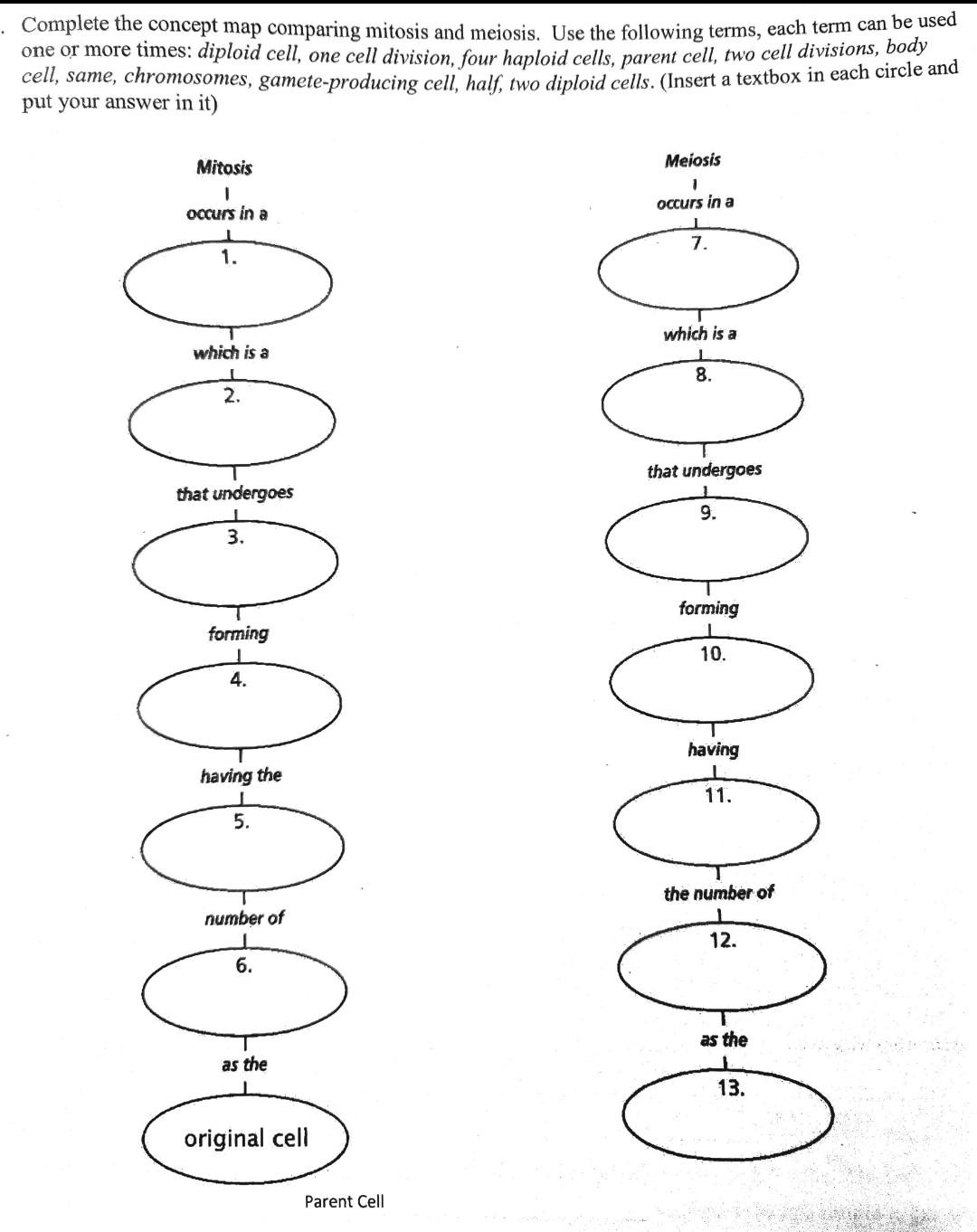 Mitosis And Meiosis Concept Map Solved Complete The Concept Map Comparing Mitosis And | Chegg.com