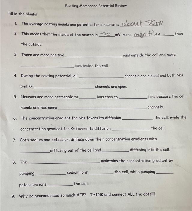 Solved Resting Membrane Potential Review Fill in the blanks | Chegg.com