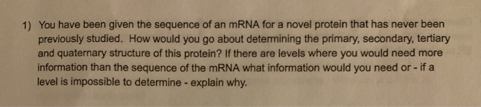 Solved 1) You have been given the sequence of an MRNA for a | Chegg.com