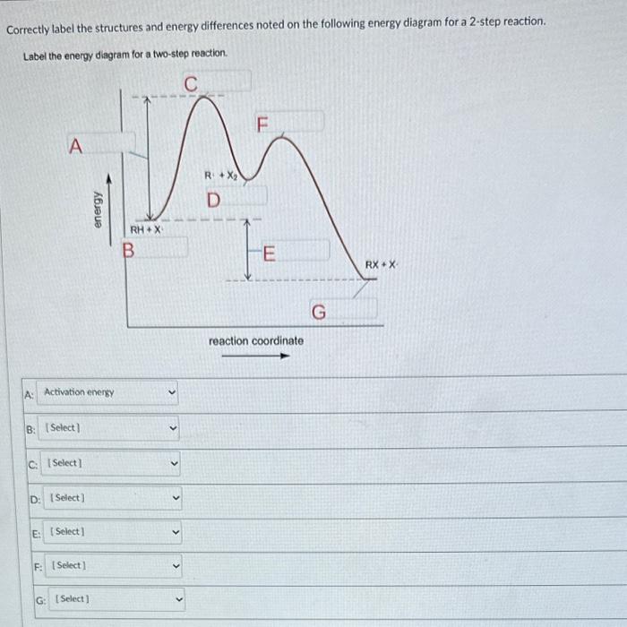 Solved Correctly label the structures and energy differences | Chegg.com