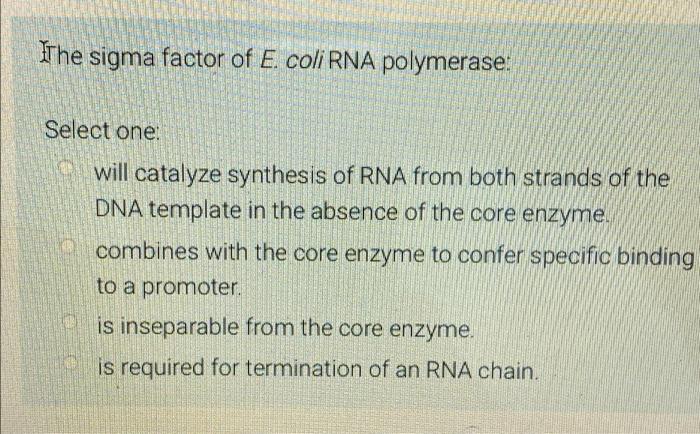 The sigma factor of E. coli RNA polymerase:
Select one:
will catalyze synthesis of RNA from both strands of the
DNA template 