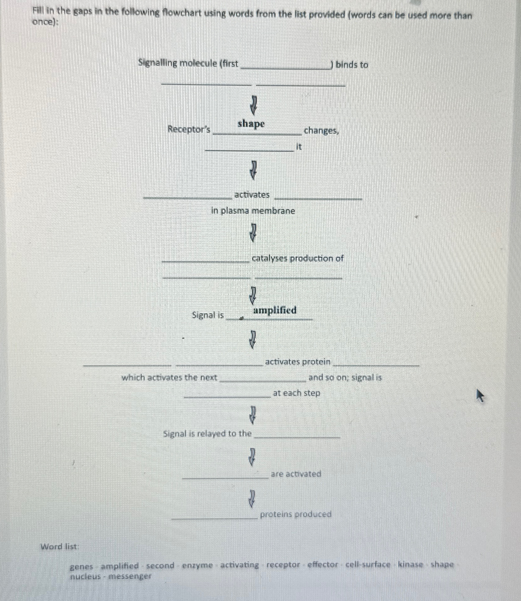 Solved Fill in the gaps in the following flowchart using | Chegg.com