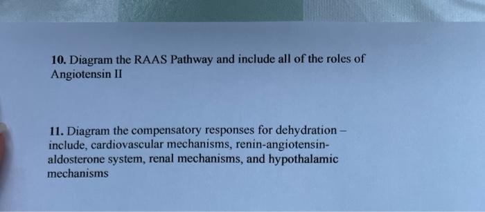 Solved 10. Diagram the RAAS Pathway and include all of the | Chegg.com