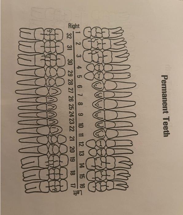 CHARTING EXERCISE \#3 DO NOT WRITE IN THIS BOOKLET | Chegg.com