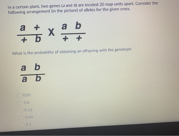 Solved In A Certain Plant, Two Genes (a And B) Are Located | Chegg.com