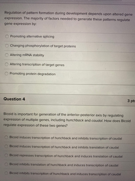 Solved Regulation of pattern formation during development | Chegg.com