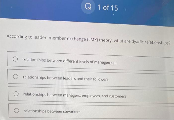 Leadership in a different light: understanding co-worker exchange