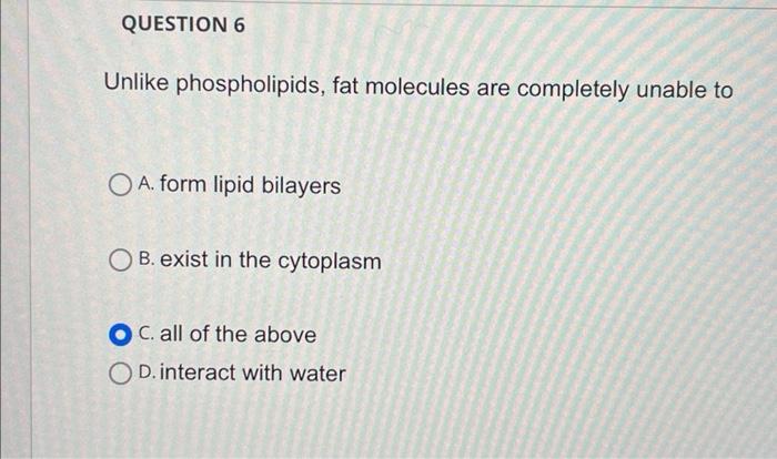 Solved could you please check to see if my answers are | Chegg.com
