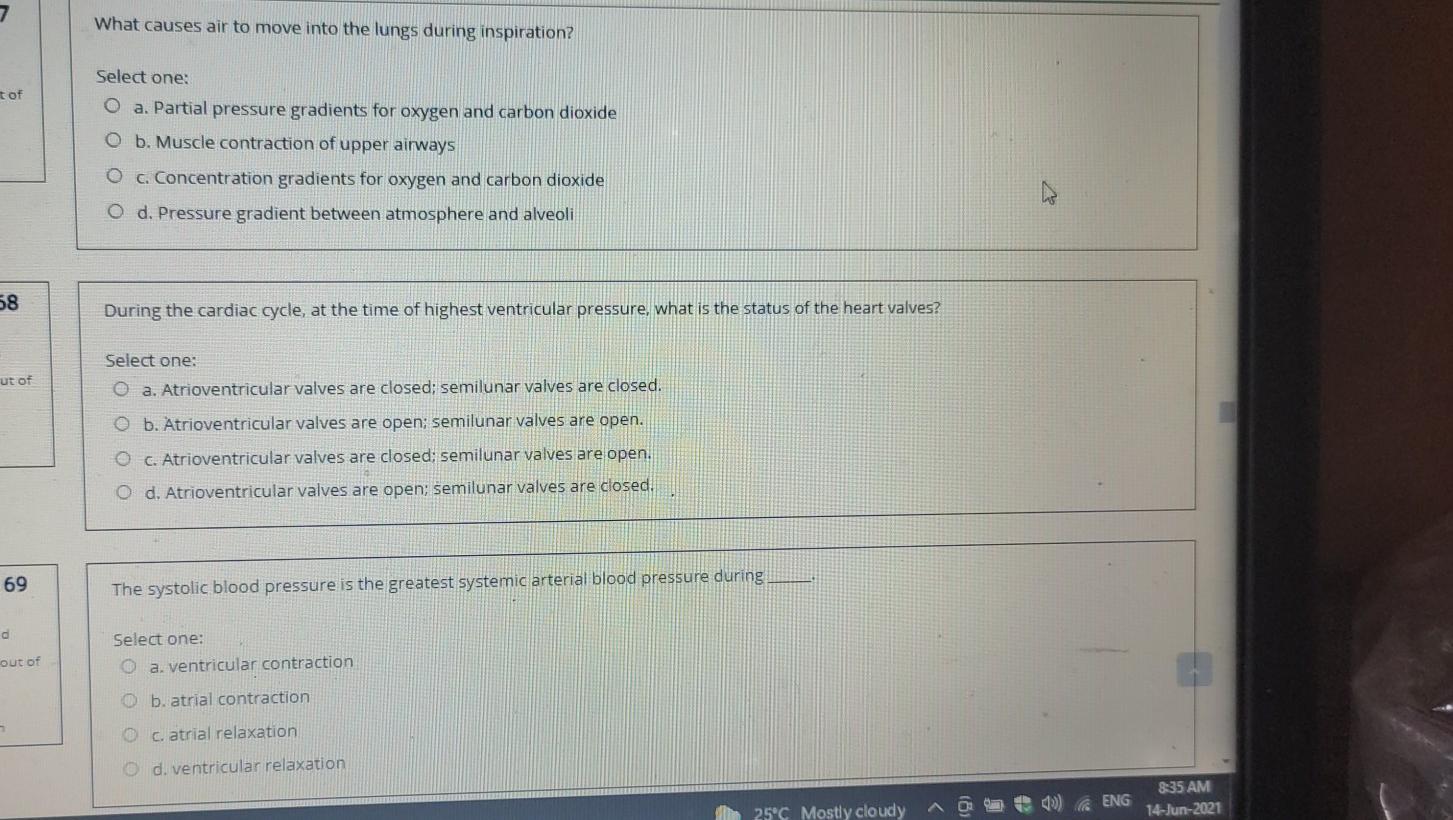 Solved 7 What causes air to move into the lungs during