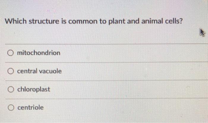 Solved Which structure is common to plant and animal cells? 