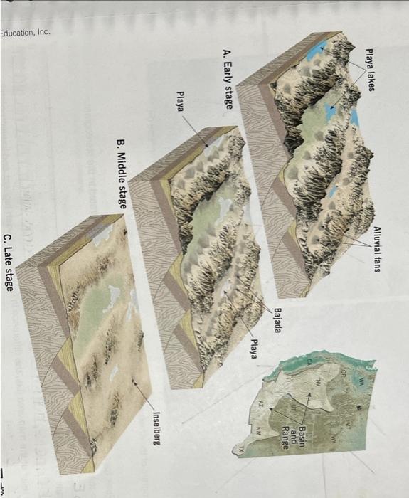 Solved 8. Identify the features indicated with the following | Chegg.com