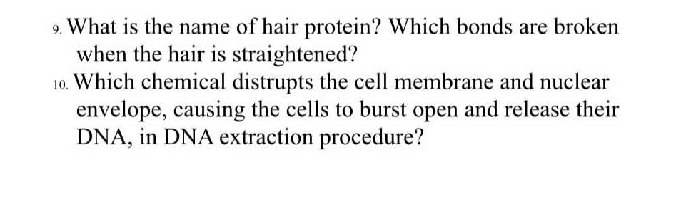 Solved 9. What is the name of hair protein? Which bonds are 