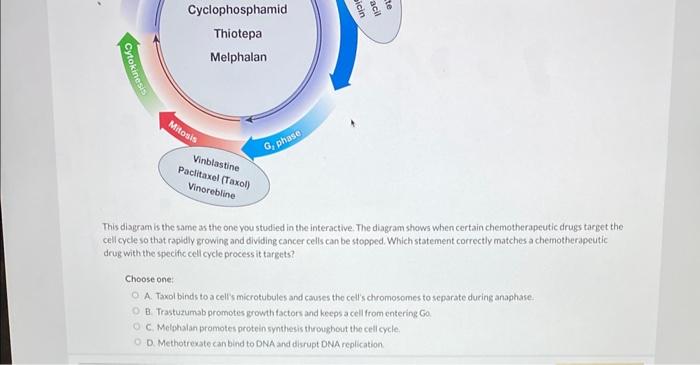 solved-this-diagram-is-the-same-as-the-one-you-studied-in-chegg