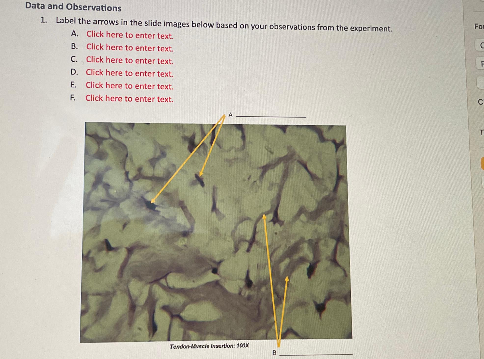 Data and ObservationsLabel the arrows in the slide | Chegg.com