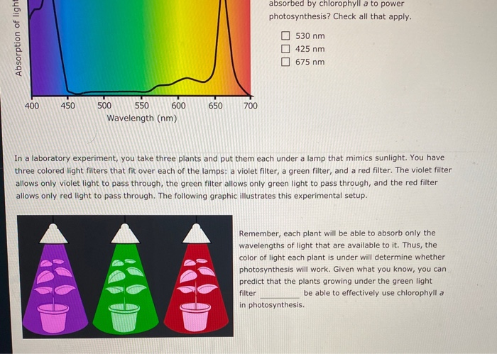 solved-chlorophylla-is-one-of-many-pigments-found-in-the-chegg