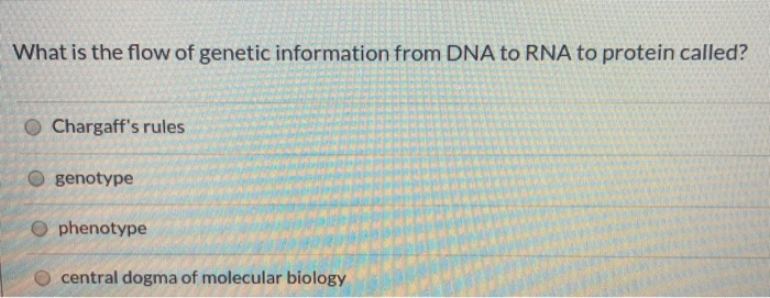 Solved What is the flow of genetic information from DNA to | Chegg.com