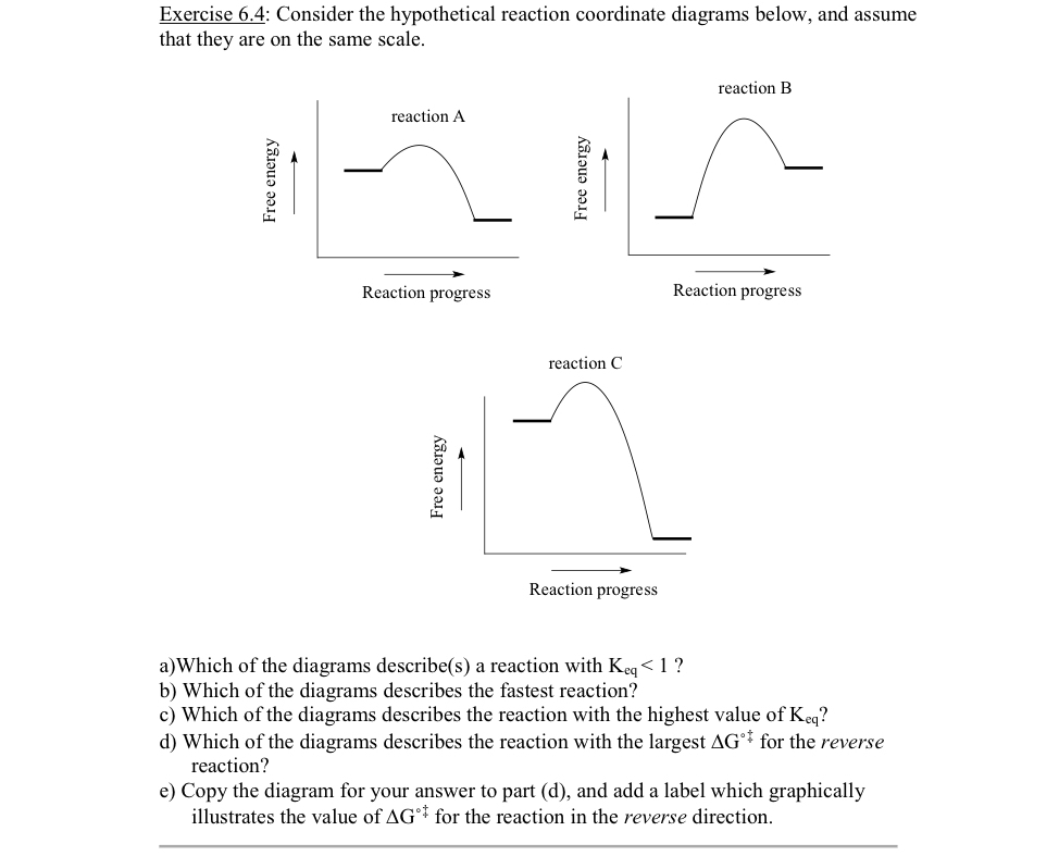 Solved Exercise 6.4: Consider the hypothetical reaction | Chegg.com