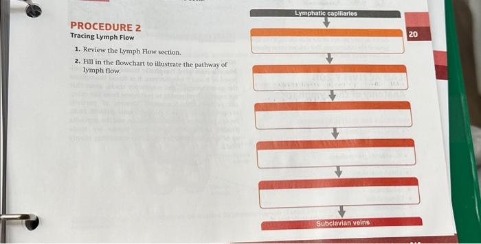 Solved Tracing Lymph Flow 1. Review the Lymph Flow section. | Chegg.com