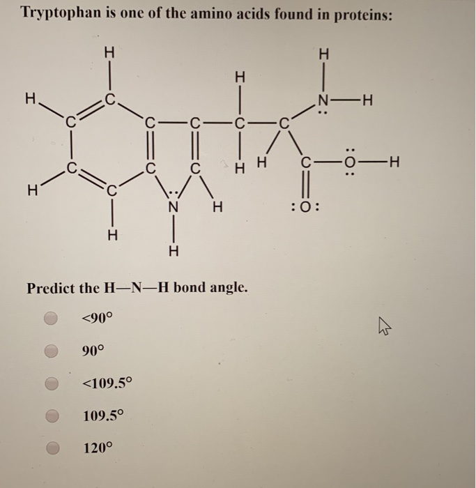 Solved Tryptophan Is One Of The Amino Acids Found In Prot Chegg Com
