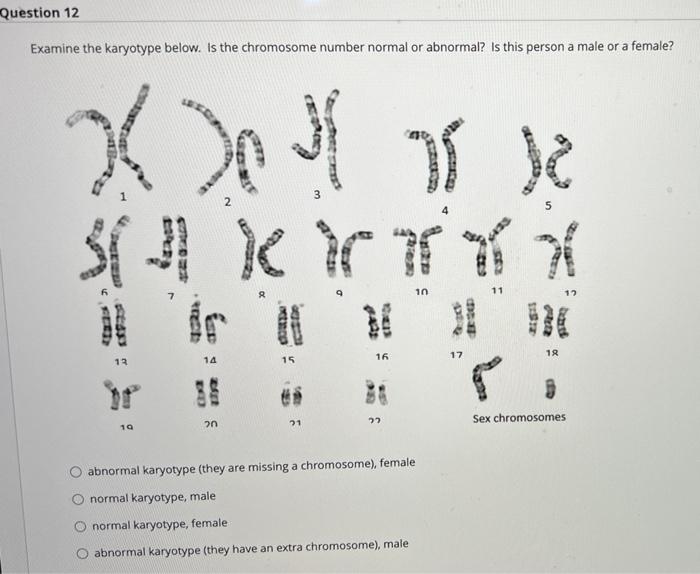 solved-question-12-examine-the-karyotype-below-is-the-chegg