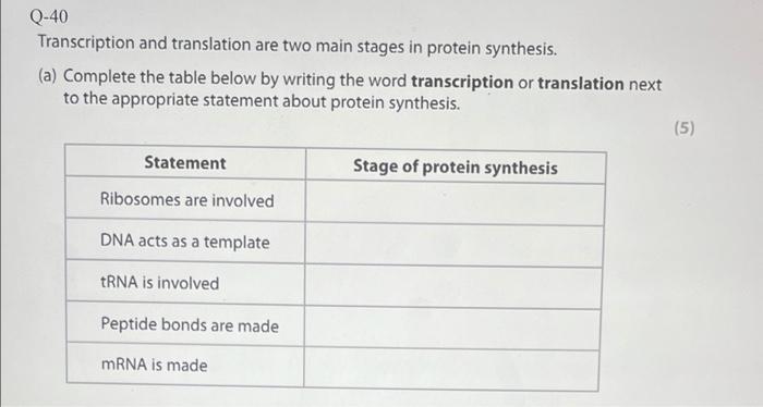 Solved Q-40 Transcription and translation are two main | Chegg.com