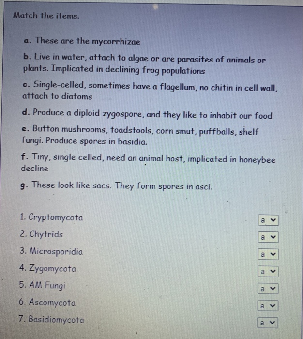 Solved Match The Items. A. These Are The Mycorrhizae B. Live | Chegg.com