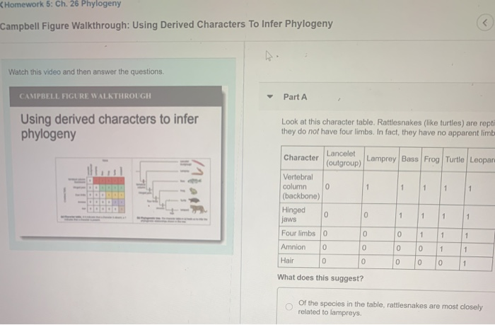 Homework 5: Ch. 26 Phylogeny Campbell Figure | Chegg.com