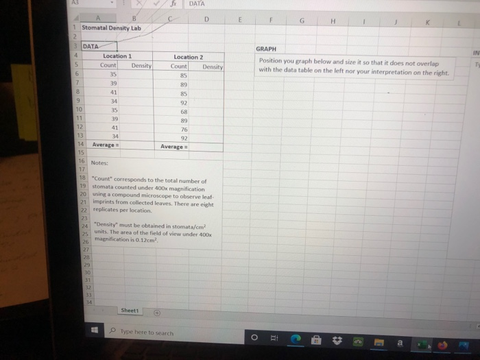 Solved DATA D M N Stomatal Density Lab DATA Location 1